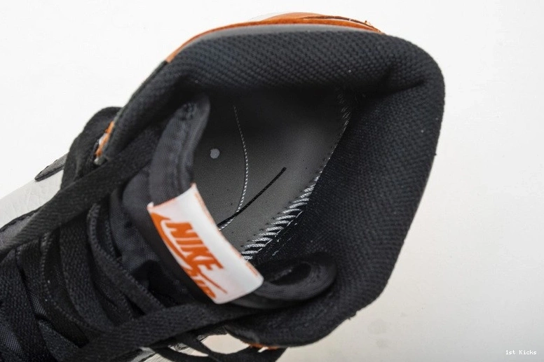 1 Shattered Air Retro Jordan Backboard 555088-005 OG 0306